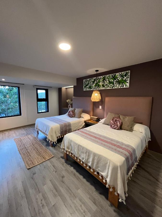 Zen Suites By Regente Oaxaca Exterior photo